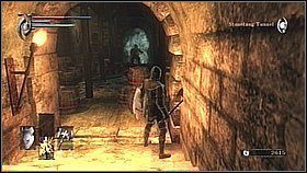 10 - Demons Souls: Stonefang Tunnel (3) - solucja, opis przejścia - Demons Souls - poradnik do gry