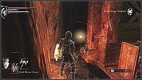Na końcu drogi trafimy do jaskini pełnej pajęczych sieci - w niej znajdziemy dużą windę - Demons Souls: Stonefang Tunnel (3) - solucja, opis przejścia - Demons Souls - poradnik do gry