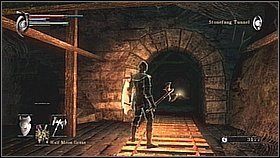 Na dole zobaczymy ogromne przejście z mgłą - to wejście do kolejnego demona - Demons Souls: Stonefang Tunnel (3) - solucja, opis przejścia - Demons Souls - poradnik do gry