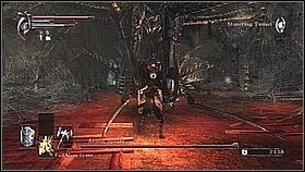 3 - Demons Souls: Armor Spider - solucja, opis przejścia - Demons Souls - poradnik do gry