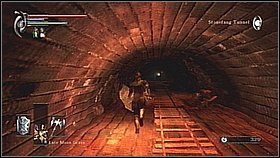 1 - Demons Souls: Armor Spider Archstone - Lewy korytarz (1) - solucja - Demons Souls - poradnik do gry