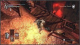 Zawracamy pod górę - zobaczymy 2 robale ze skrzydłami - Demons Souls: Armor Spider Archstone - Lewy korytarz (2) - solucja - Demons Souls - poradnik do gry