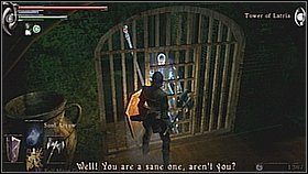 Za mgłą zobaczymy jeszcze jedno zejście niżej oraz odnogę do następnego bloku z celami - Demons Souls: Tower of Latria (2) - solucja, opis przejścia - Demons Souls - poradnik do gry