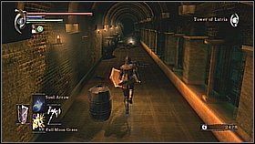 Teraz wracamy do miejsca gdzie były dwie zamknięte bramy koło siebie (a pomiędzy nimi klucz) - Demons Souls: Tower of Latria (3) - solucja, opis przejścia - Demons Souls - poradnik do gry
