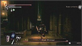 1 - Demons Souls: Fools Idol - solucja, opis przejścia - Demons Souls - poradnik do gry