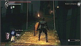 7 - Demons Souls: Fools Idol Archstone (1) - solucja, opis przejścia - Demons Souls - poradnik do gry