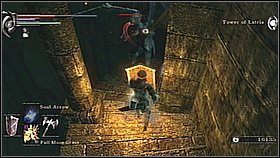 Teraz biegniemy w stronę przejścia zasłoniętego mgłą - po drodze ubijamy jeszcze dwóch gadów - Demons Souls: Fools Idol Archstone (1) - solucja, opis przejścia - Demons Souls - poradnik do gry