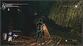 Szukamy miejsca, które zaprowadzi nas na zewnętrzną część bagna (za dwoma wieżami) - Demons Souls: Fools Idol Archstone (2) - solucja, opis przejścia - Demons Souls - poradnik do gry