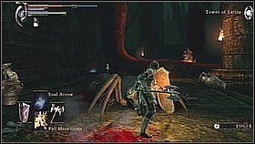8 - Demons Souls: Fools Idol Archstone (2) - solucja, opis przejścia - Demons Souls - poradnik do gry