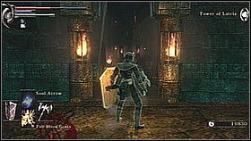 9 - Demons Souls: Fools Idol Archstone (2) - solucja, opis przejścia - Demons Souls - poradnik do gry