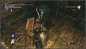 Po ubiciu groźnych wrogów [1] wchodzimy na górę - znajdziemy tu [CRYSTAL LIZARD /GECKO ] - Demons Souls: Old Monk - solucja, opis przejścia - Demons Souls - poradnik do gry