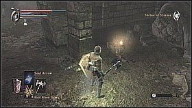 Podbiegamy do bramy - trafimy na pierwszego szkieleta - Demons Souls: Shrine of Storms (1) - solucja, opis przejścia - Demons Souls - poradnik do gry