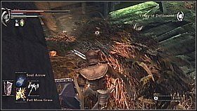 8 - Demons Souls: Valley od Defilement - solucja, opis przejścia - Demons Souls - poradnik do gry