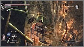 Zabijamy robaki z odległości - przy bliskim kontakcie mogą nas zatruć - Demons Souls: Valley od Defilement - solucja, opis przejścia - Demons Souls - poradnik do gry