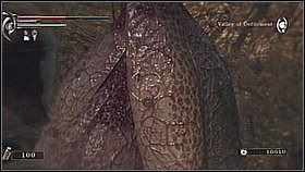 1 - Demons Souls: Leechmonger Archstone (2) - solucja, opis przejścia - Demons Souls - poradnik do gry