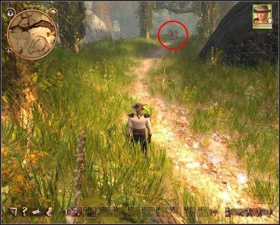 Pamiętaj o zachowaniu rozsądnej odległości. Nie musisz się spieszyć, zawsze dogonisz woła. - Nadoret - dla łotrzyków (2) | Zadania główne w Drakensang The River of Time - Drakensang: The River of Time - poradnik do gry