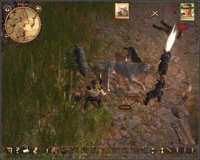 Zabij wilki oraz krwawego wilka - Nadoret - dla łotrzyków (2) | Zadania główne w Drakensang The River of Time - Drakensang: The River of Time - poradnik do gry