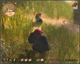 1 - Nadoret - dla znawców natury | Zadania główne w Drakensang The River of Time - Drakensang: The River of Time - poradnik do gry