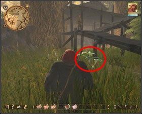 2 - Nadoret - dla znawców natury | Zadania główne w Drakensang The River of Time - Drakensang: The River of Time - poradnik do gry