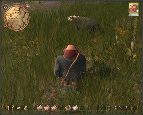 Jednojagody znajdziesz pod kładką wiodącą do elfa - Nadoret - dla znawców natury | Zadania główne w Drakensang The River of Time - Drakensang: The River of Time - poradnik do gry