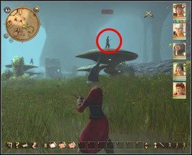 Najlepiej zabierz wszystko ze skrzyni - Ukryta przystań | Zadania główne w Drakensang The River of Time - Drakensang: The River of Time - poradnik do gry