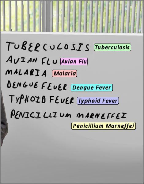 Tablica prezentuje kolejne propozycje chorób, wraz z ich odpowiednikami w burzy mózgów. - Opis przejścia (1) | Globetrotting House M.D. - House M.D. - poradnik do gry