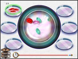 Twoim zadaniem jest posortowanie wszystkich mikrobów, które znajdziesz pod mikroskopem - Opis przejścia (3) | Globetrotting House M.D. - House M.D. - poradnik do gry