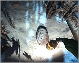 1 - D2 - Wizyta w osławionym miejscu, w środku lasu (6) | Opis przejścia - Darkness Within 2: The Dark Lineage - poradnik do gry