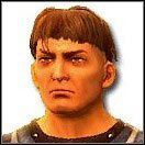 Silne cechy: ODW, BUD, SI - Archetypy wojowników (1) | Bohater w Drakensang The River of Time - Drakensang: The River of Time - poradnik do gry