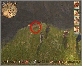 3x napój leczniczy - Nadoret | Ukryte skarby w Drakensang The River of Time - Drakensang: The River of Time - poradnik do gry