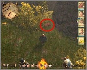 5 $ - Nadoret | Ukryte skarby w Drakensang The River of Time - Drakensang: The River of Time - poradnik do gry