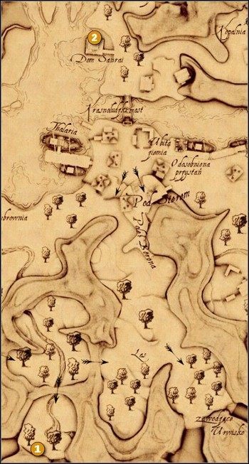 Skarb 1 - w południowym lesie - Hammerberg | Ukryte skarby w Drakensang The River of Time - Drakensang: The River of Time - poradnik do gry