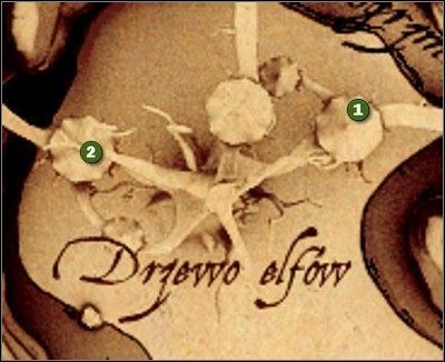 1 - Komora mytnicza i Elfi Las | Kupcy w Drakensang The River of Time - Drakensang: The River of Time - poradnik do gry