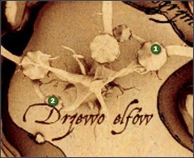 1 - Komora mytnicza i Elfi Las | Nauczyciele w Drakensang The River of Time - Drakensang: The River of Time - poradnik do gry