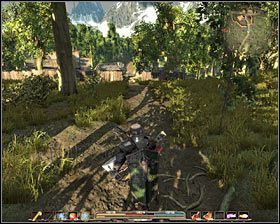 2 - Srebrowód (1) | Zadania główne Arcania Gothic 4 - Arcania: Gothic 4 - poradnik do gry