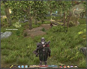 1 - Srebrowód (3) | Zadania główne Arcania Gothic 4 - Arcania: Gothic 4 - poradnik do gry