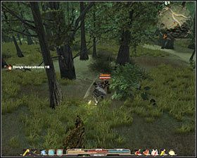 6 - Bagna (2) | Zadania główne Arcania Gothic 4 - Arcania: Gothic 4 - poradnik do gry