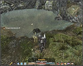 4 - Srebrowód (3) | Zadania poboczne w Arcania Gothic 4 - Arcania: Gothic 4 - poradnik do gry