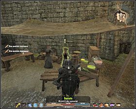 Po zlikwidowaniu potworów dokładnie zbadaj okolice stawu, a odnajdziesz trzy stawuchy #1 - Srebrowód (3) | Zadania poboczne w Arcania Gothic 4 - Arcania: Gothic 4 - poradnik do gry