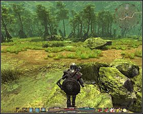 Zleceniodawca: Dygot [Bagna - Czarna Toń ] - Bagna (1) | Zadania poboczne w Arcania Gothic 4 - Arcania: Gothic 4 - poradnik do gry