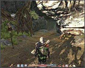 Licz się z tym, że po drodze będziesz atakowany przez jaszczury , a także że wpadniesz na co najmniej jednego węża błotnego #1 - Bagna (3) | Zadania poboczne w Arcania Gothic 4 - Arcania: Gothic 4 - poradnik do gry