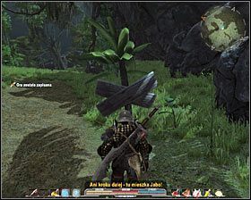 Po wygranej bitwie rozejrzyj się po obozie, w którym znajdowały się szkielety, a odnajdziesz tobołek dla Jaba #1 - Czarne Jary i dżungla (1) | Zadania poboczne w Arcania Gothic 4 - Arcania: Gothic 4 - poradnik do gry