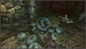 6 - Amnesia Mroczny Obłęd: Choir | Opis przejścia - Amnesia: Mroczny Obłęd - poradnik do gry