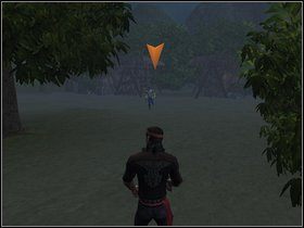 7 - Rozdział II - Czarna Flaga (1) - Opis przejścia - Piraci Nowego Świata 2: Dwa Skarby - poradnik do gry