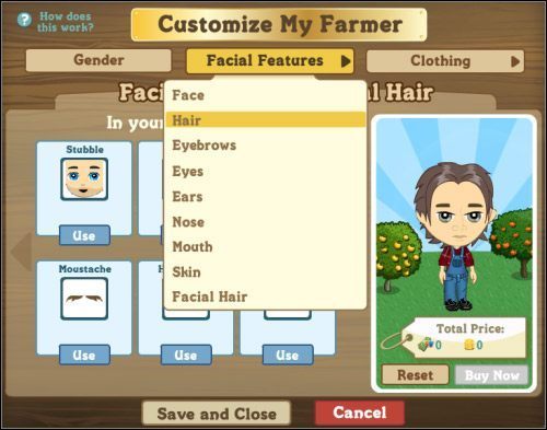 Personalizacja postaci w toku - Wygląd postaci | Podstawy FarmVille - FarmVille - poradnik do gry