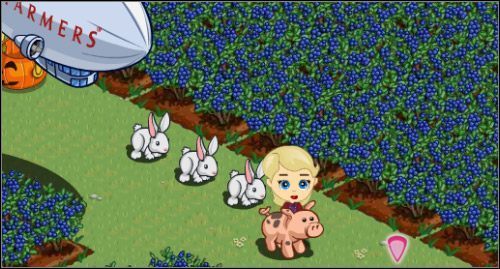 Jagody gotowe na zebranie. - Uprawy | Zarządzamy farmą FarmVille - FarmVille - poradnik do gry