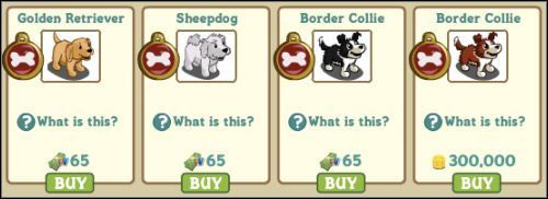 Do wyboru, do koloru - Pieski | Inne | FarmVille - FarmVille - poradnik do gry