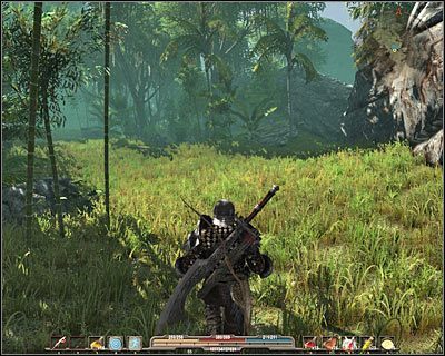 Przeciwnicy: Podczas eksploracji dżungli walczy się w głównej mierze z jaszczurami, brzytwiakami, ścierwojadami, nieumarłymi, orkami, cieniostworami, pełzaczami jaskiniowymi, szuwarnikami oraz przerośniętymi osami - Obszary (2) | Świat gry w Arcania Gothic 4 - Arcania: Gothic 4 - poradnik do gry