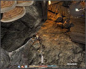 Chrząszcze (neutralne) - Bestiariusz (1) | Świat gry w Arcania Gothic 4 - Arcania: Gothic 4 - poradnik do gry