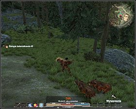 Dziki (agresywne) - Bestiariusz (1) | Świat gry w Arcania Gothic 4 - Arcania: Gothic 4 - poradnik do gry